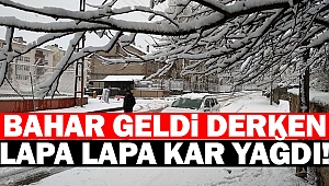 Bahar geldi derken kar yağdı!