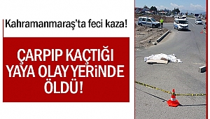 Kamyon'un çarpıp kaçtığı yaya olay yerinde öldü!