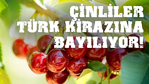Çinliler Türk Kirazına Bayılıyor