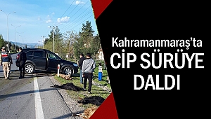 Cipin çarptığı 18 küçükbaş hayvan telef oldu