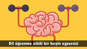 Dil öğrenme etkili bir beyin egzersizi