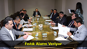 Fıstık Alarm Veriyor
