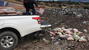 Halka Bozuk Fıstık Yedireceklerdi!