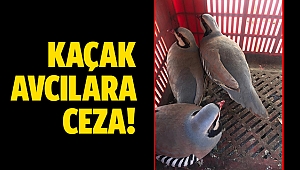 Kaçak avcılara ceza!