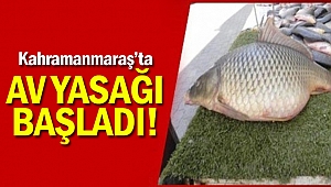 Kahramanmaraş’ta av yasağı başladı!