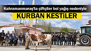 Kahramanmaraş'ta çiftçiler bol yağış nedeniyle 