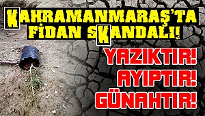 Kahramanmaraş’ta Fidan Skandalı!