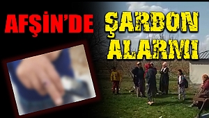 Kahramanmaraş’ta Şarbon Alarmı!