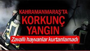 Kahramanmaraş’ta yangın!