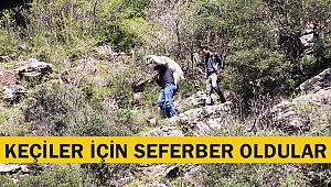 Keçiler için seferber oldular