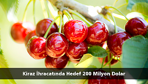Kiraz İhracatında Hedef 200 Milyon Dolar