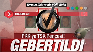 Kırmızı listedeki PKK'lı Soysüren etkisiz hale getirildi