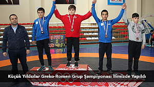 Küçük Yıldızlar Greko-Romen Grup Şampiyonası İlimizde Yapıldı