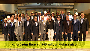 Kuru üzüm ihracatı 365 milyon dolara ulaştı