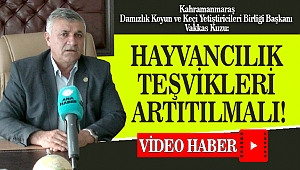 Kuzu: Hayvancılık Teşvikleri Artırılmalı