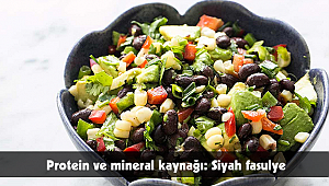 Protein ve mineral kaynağı: Siyah fasulye
