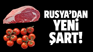 Rusya’dan yeni şart! Domatese karşılık et