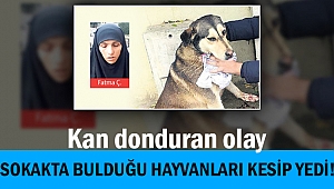 Sokak hayvanlarını kesip yerken yakalandı!