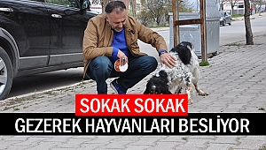 Sokak sokak gezerek hayvanları besliyor