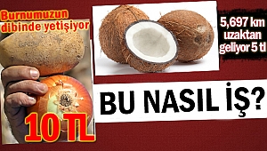 Ülkemizde yetişmeyen Hindistan cevizi 5 TL! Soğan 10 TL