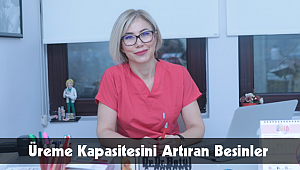 Üreme Kapasitesini Artıran Besinler