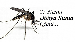 25 Nisan Dünya Sıtma Günü