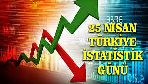 25 Nisan Türkiye İstatistik Günü