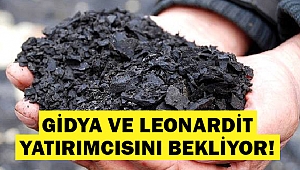 Gidya ve Leonardit yatırımcısını bekliyor!