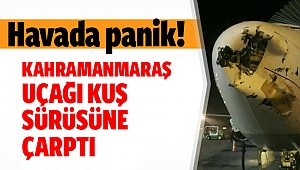 Havada panik!