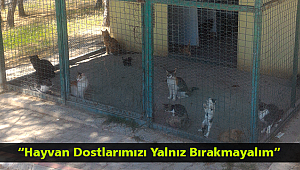 “Hayvan Dostlarımızı Yalnız Bırakmayalım”