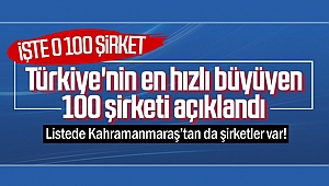 İşte Türkiye'nin en hızlı büyüyen 100 şirketi
