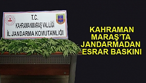 Kahramanmaraş’ta Jandarmadan Esrar Baskını