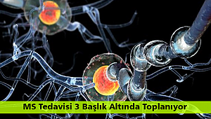 MS Tedavisi 3 Başlık Altında Toplanıyor