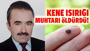 Muhtarı kene öldürdü!
