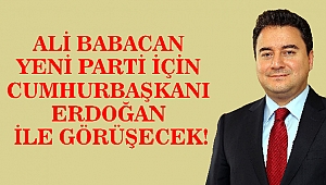 Ali Babacan yeni parti için Cumhurbaşkanı Erdoğan ile görüşecek