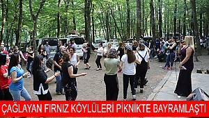 Çağlayan Fırnız Köylüleri Piknikte Bayramlaştı
