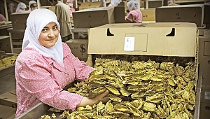 Egeli ihracatçılar çifte bayram yaptı