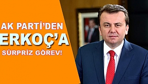 Erkoç'a AK Parti'den seçim görevi