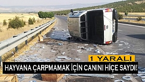 Hayvana çarpmamak için canını hiçe saydı