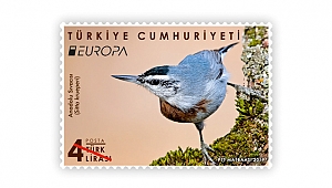 PTT AŞ ‘Kuşlar’ Temalı En İyi Avrupa Pulu Yarışmasına ‘Anadolu Sıvacısı’ İle Katılıyor