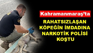 Rahatsızlaşan Köpeğin İmdadına Narkotik Polisi Koştu