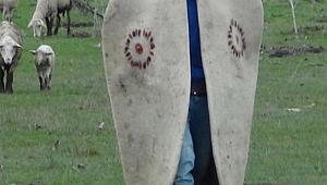 Şanlıurfa’da çoban kavgası: 1 yaralı