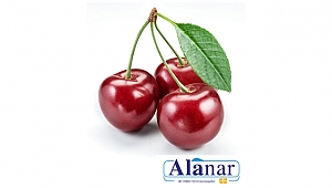 Türk kirazına uluslararası lezzet yıldızı