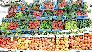 Türkoğlu’nda Kadıoğlu Kooperatifi açıldı