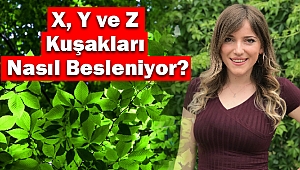 X, Y ve Z Kuşakları Nasıl Besleniyor?
