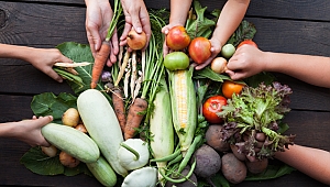 Yetersiz Beslenmenin Önüne Geçmek İçin Yeni Tartışma: Sürdürülebilir Beslenme Yolları