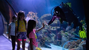 “4 Milyon Çocuk Sanatla Buluştu”