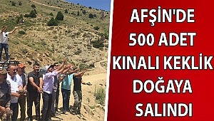 Afşin'de 500 adet kınalı keklik doğaya salındı