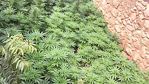 Diyarbakır’da uyuşturucu operasyonu