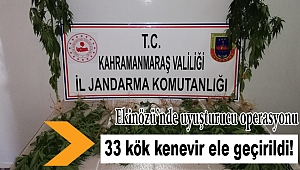 Evin bahçesini kenevirle doldurmuş